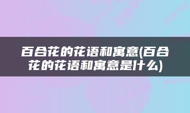 百合花的花语和寓意(百合花的花语和寓意是什么)