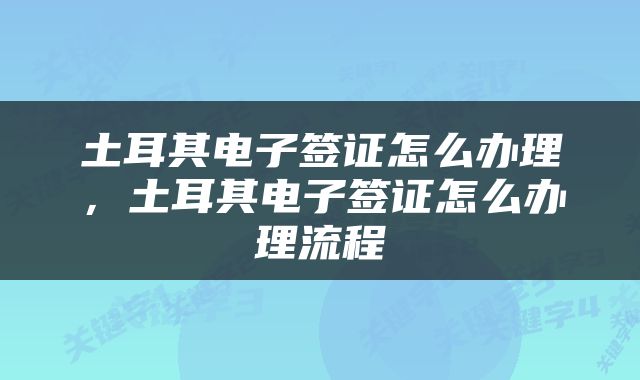 土耳其电子签证怎么办理，土耳其电子签证怎么办理流程