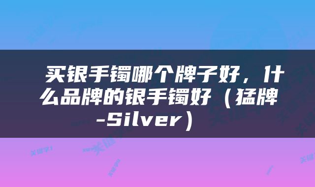  买银手镯哪个牌子好，什么品牌的银手镯好（猛牌-Silver） 