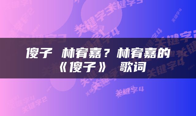 傻子 林宥嘉？林宥嘉的《傻子》 歌词