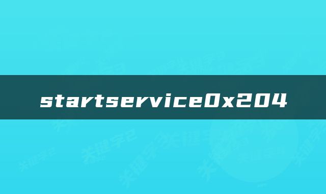 startservice0x204