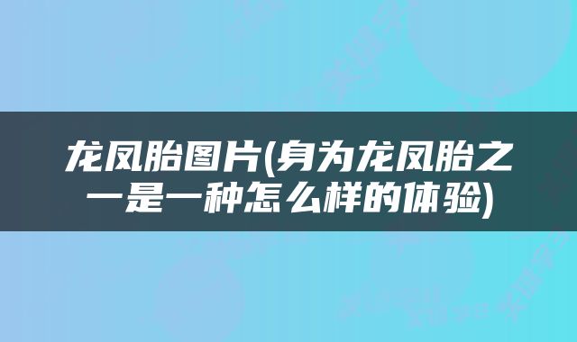 龙凤胎图片(身为龙凤胎之一是一种怎么样的体验)