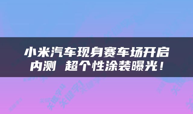 小米汽车现身赛车场开启内测 超个性涂装曝光！