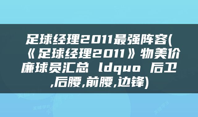 足球经理2011最强阵容(《足球经理2011》物美价廉球员汇总 ldquo 后卫,后腰,前腰,边锋)