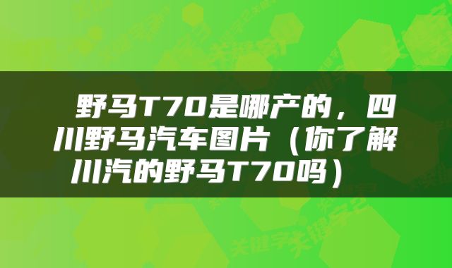  野马T70是哪产的，四川野马汽车图片（你了解川汽的野马T70吗） 