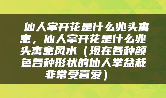  仙人掌开花是什么兆头寓意，仙人掌开花是什么兆头寓意风水（现在各种颜色各种形状的仙人掌盆栽非常受喜爱） 