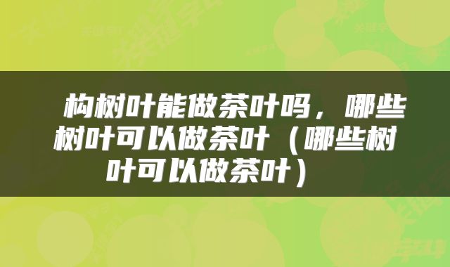  构树叶能做茶叶吗，哪些树叶可以做茶叶（哪些树叶可以做茶叶） 