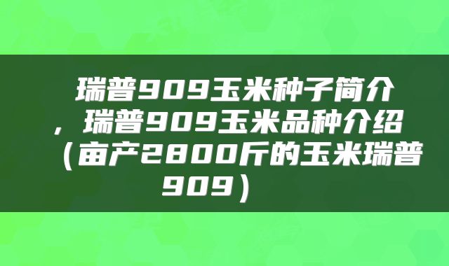  瑞普909玉米种子简介，瑞普909玉米品种介绍（亩产2800斤的玉米瑞普909） 