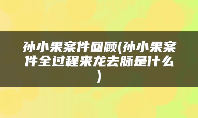 孙小果案件回顾(孙小果案件全过程来龙去脉是什么)
