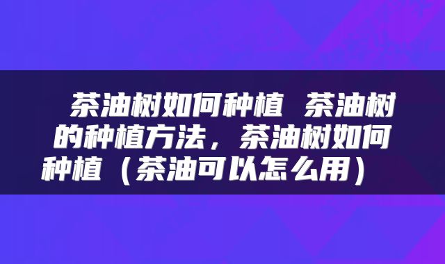  茶油树如何种植 茶油树的种植方法，茶油树如何种植（茶油可以怎么用） 