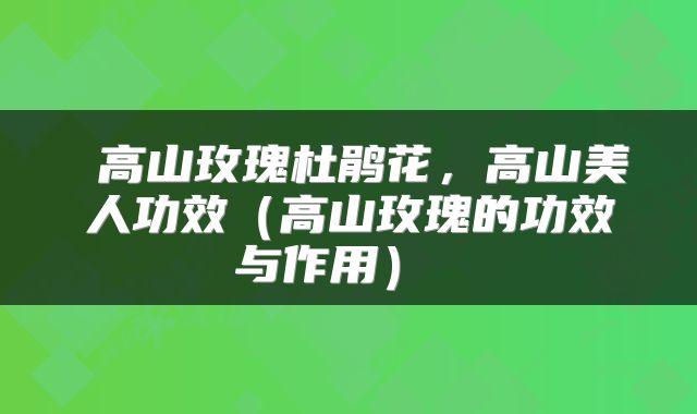  高山玫瑰杜鹃花，高山美人功效（高山玫瑰的功效与作用） 