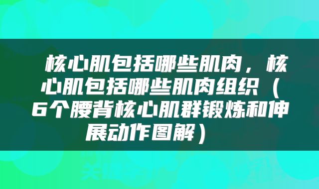  核心肌包括哪些肌肉，核心肌包括哪些肌肉组织（6个腰背核心肌群锻炼和伸展动作图解） 