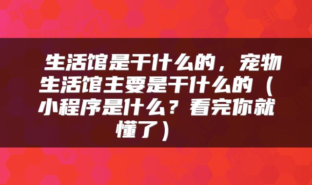  生活馆是干什么的，宠物生活馆主要是干什么的（小程序是什么？看完你就懂了） 