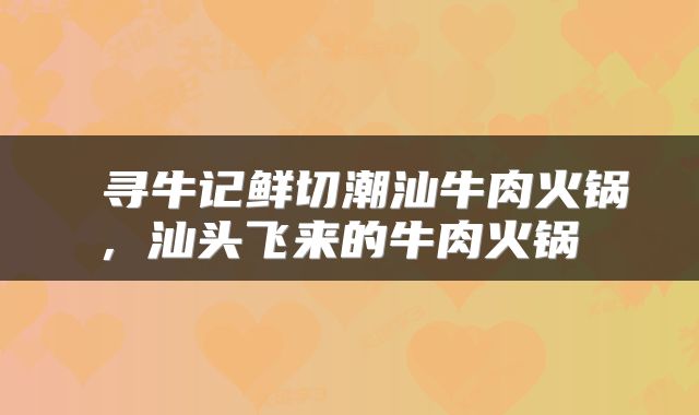  寻牛记鲜切潮汕牛肉火锅，汕头飞来的牛肉火锅 