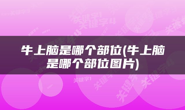 牛上脑是哪个部位(牛上脑是哪个部位图片)