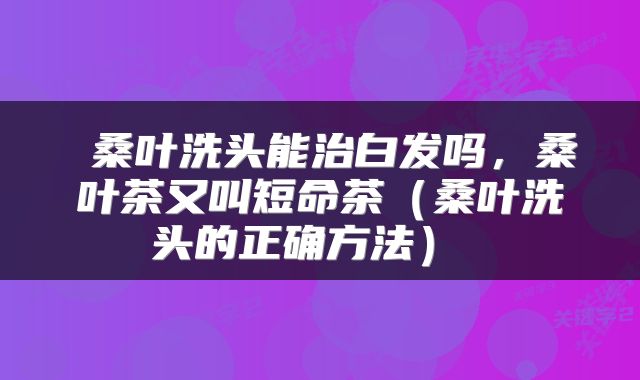  桑叶洗头能治白发吗，桑叶茶又叫短命茶（桑叶洗头的正确方法） 