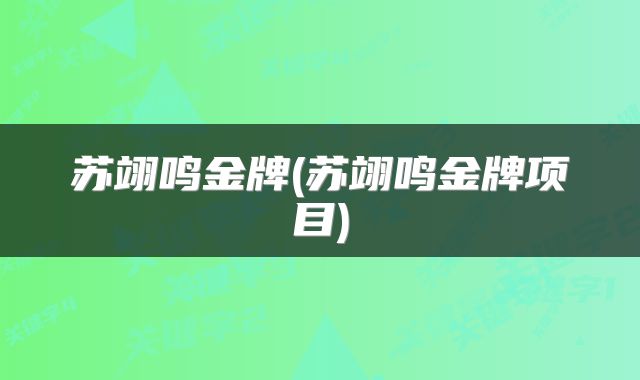 苏翊鸣金牌(苏翊鸣金牌项目)