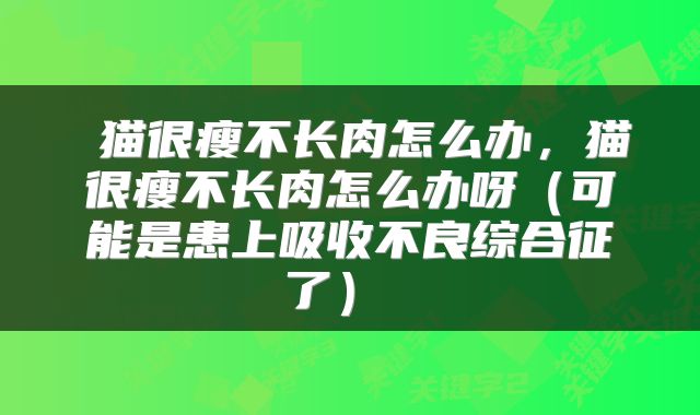  猫很瘦不长肉怎么办，猫很瘦不长肉怎么办呀（可能是患上吸收不良综合征了） 