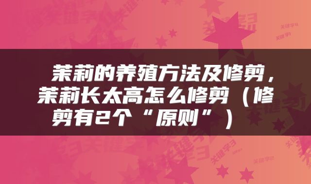  茉莉的养殖方法及修剪，茉莉长太高怎么修剪（修剪有2个“原则”） 