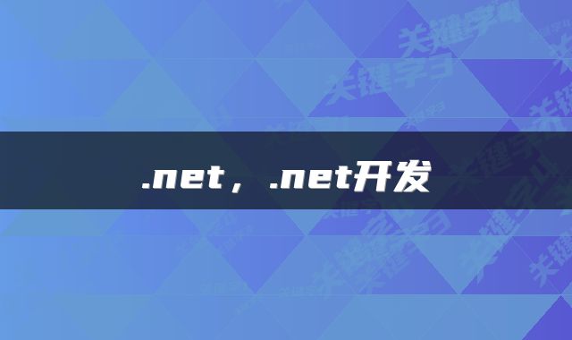 .net，.net开发