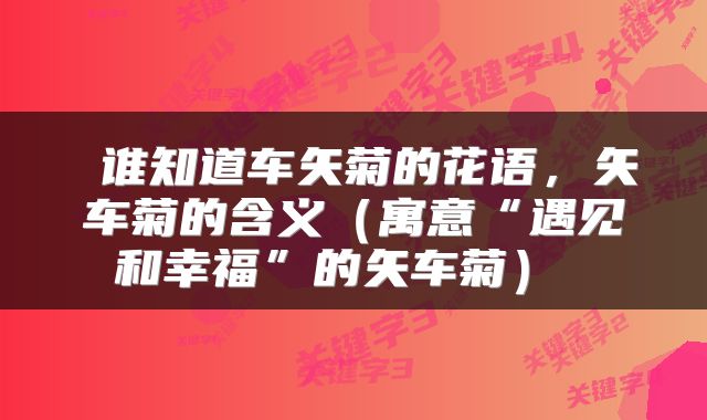  谁知道车矢菊的花语，矢车菊的含义（寓意“遇见和幸福”的矢车菊） 