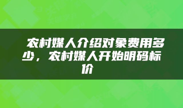  农村媒人介绍对象费用多少，农村媒人开始明码标价 