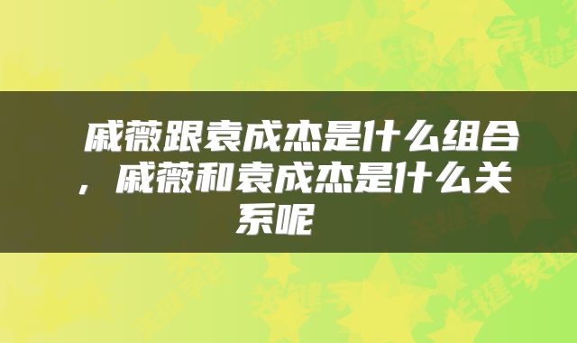  戚薇跟袁成杰是什么组合，戚薇和袁成杰是什么关系呢 