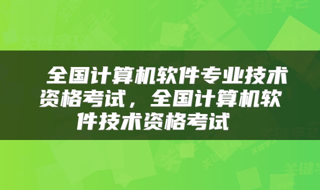  全国计算机软件专业技术资格考试，全国计算机软件技术资格考试 