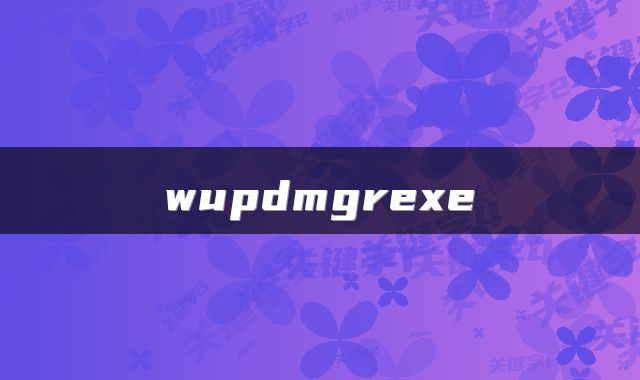 wupdmgrexe
