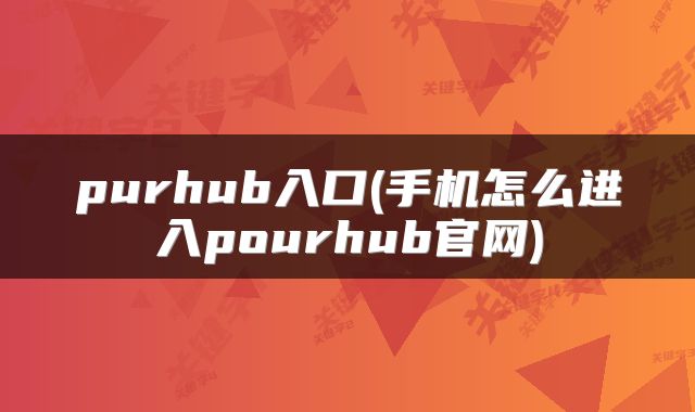 purhub入口(手机怎么进入pourhub官网)