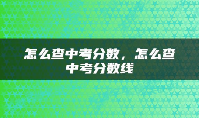 怎么查中考分数，怎么查中考分数线