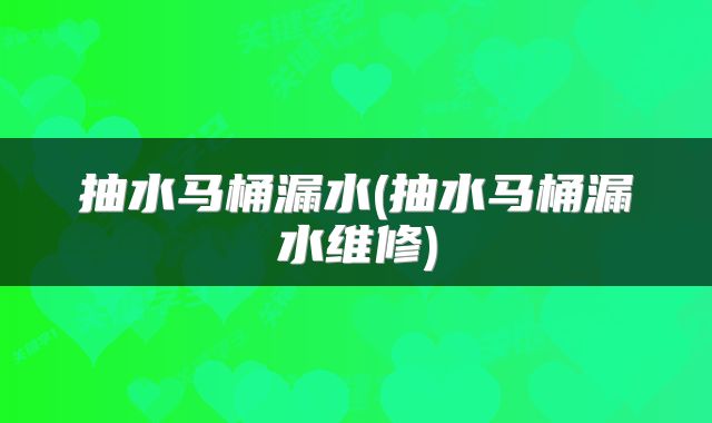 抽水马桶漏水(抽水马桶漏水维修)