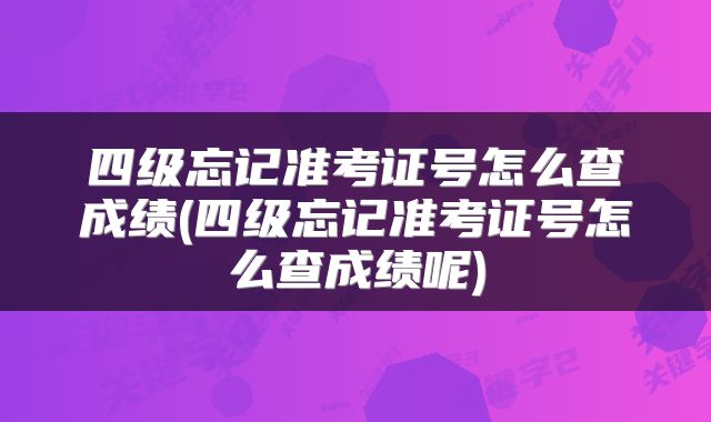 四级忘记准考证号怎么查成绩(四级忘记准考证号怎么查成绩呢)