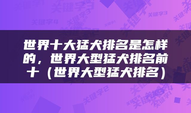 世界十大猛犬排名是怎样的，世界大型猛犬排名前十（世界大型猛犬排名）
