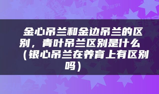  金心吊兰和金边吊兰的区别，青叶吊兰区别是什么（银心吊兰在养育上有区别吗） 