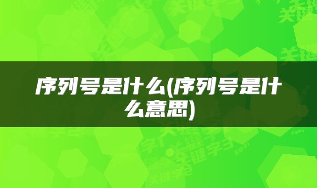 序列号是什么(序列号是什么意思)