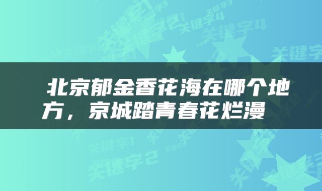  北京郁金香花海在哪个地方，京城踏青春花烂漫 