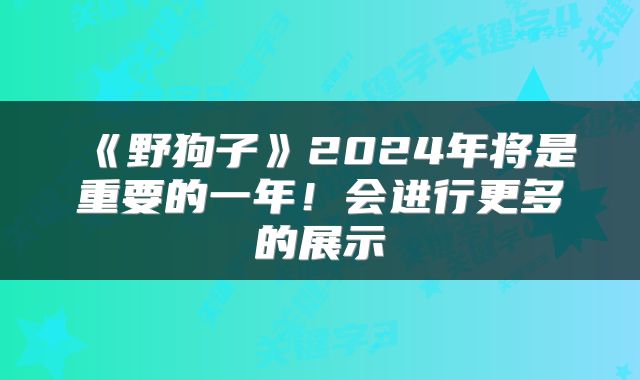 《野狗子》2024年将是重要的一年！会进行更多的展示