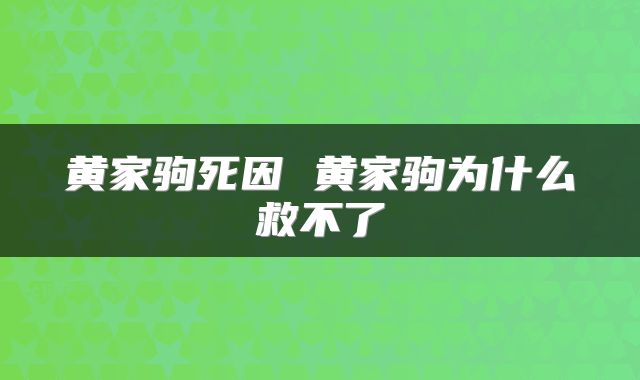 黄家驹死因 黄家驹为什么救不了