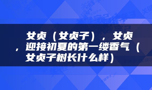  女贞（女贞子），女贞，迎接初夏的第一缕香气（女贞子树长什么样） 