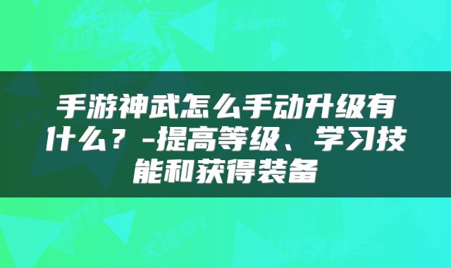 手游神武怎么手动升级有什么？-提高等级、学习技能和获得装备