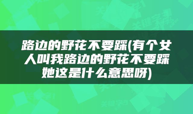 路边的野花不要踩(有个女人叫我路边的野花不要踩她这是什么意思呀)