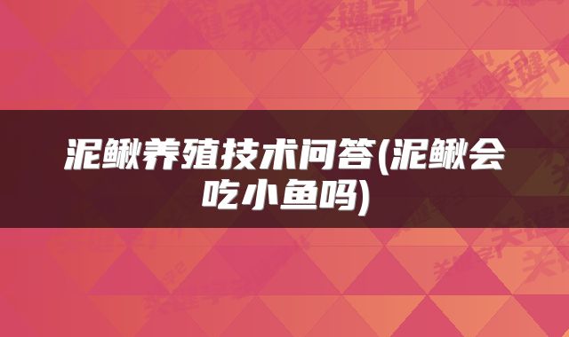 泥鳅养殖技术问答(泥鳅会吃小鱼吗)