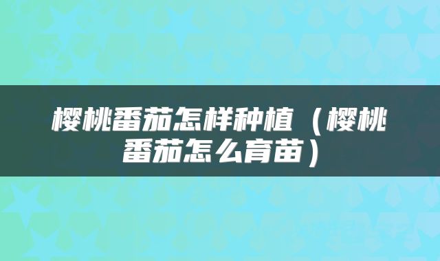 樱桃番茄怎样种植（樱桃番茄怎么育苗）