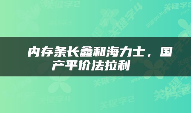  内存条长鑫和海力士，国产平价法拉利 