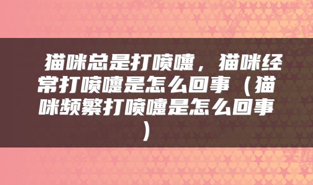  猫咪总是打喷嚏，猫咪经常打喷嚏是怎么回事（猫咪频繁打喷嚏是怎么回事） 