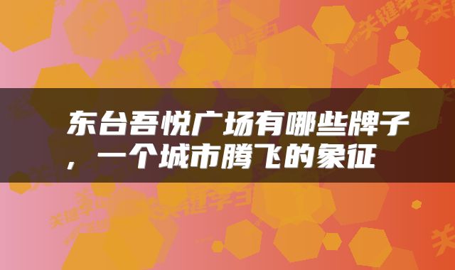  东台吾悦广场有哪些牌子，一个城市腾飞的象征 