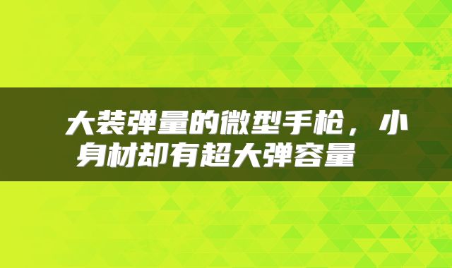 大装弹量的微型手枪，小身材却有超大弹容量 