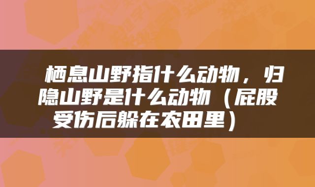  栖息山野指什么动物，归隐山野是什么动物（屁股受伤后躲在农田里） 