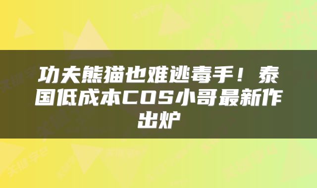 功夫熊猫也难逃毒手！泰国低成本COS小哥最新作出炉